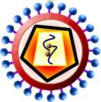 Retrovirový vektor krotký (terapeutický) virus obsahuje požadovaný gen, je