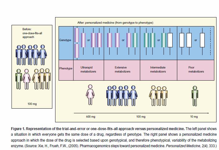 Perzonalizovaná medicína Farmakogenetika Paving the Way for Personalized Medicine: FDA s Role in
