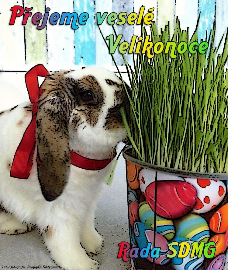 Co kdybychom, v době všemožných petic a různých jiných nesmyslů, iniciovali Velikonoce jako nepohyblivý svátek na konci dubna? Asi už moc velká blbost, že?