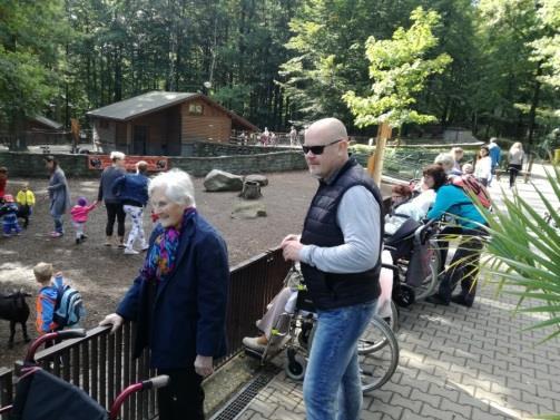 Výlet do ZOO Září je období končícího léta a začínajícího podzimu. Je to čas burčáku, babího léta a krásných výletů.