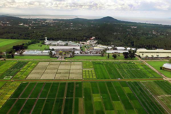 Los Baños, Special Science and Nature City