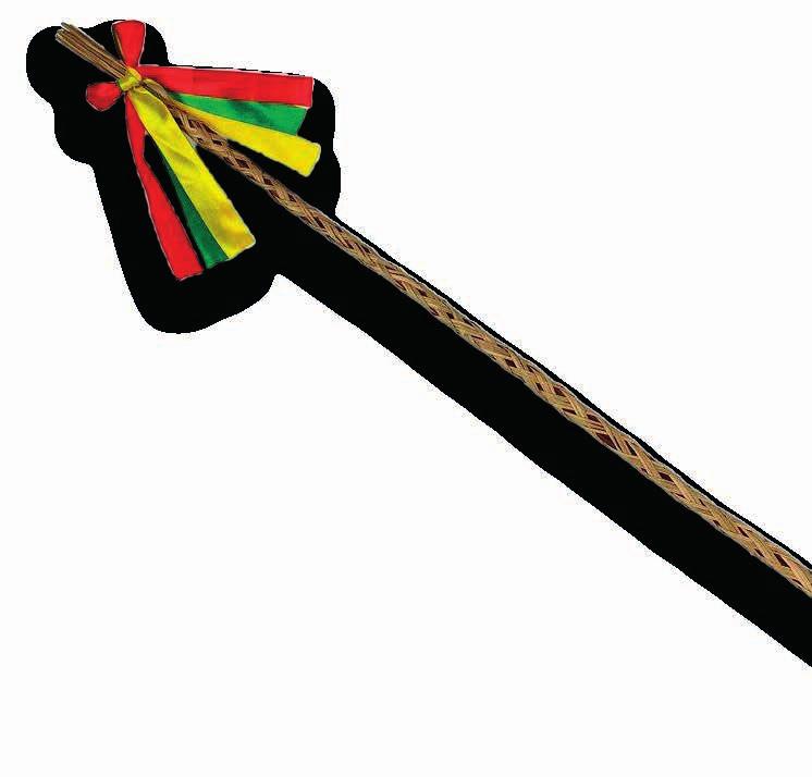 20 cm v