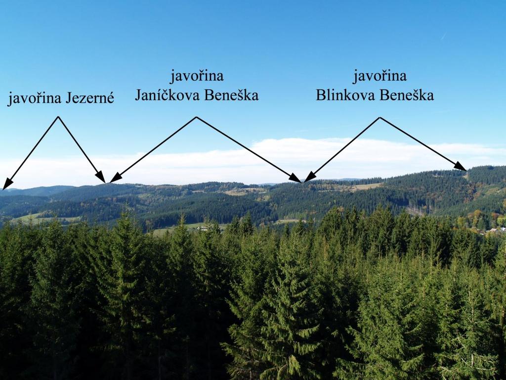 Pohled na hřeben Vsetínských vrchů z