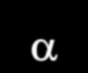+ - - - IFN-g