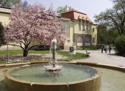 Zpráva o činnosti a hospodaření 2009 odborná část