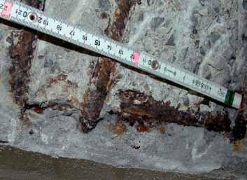 de-salted structure and the impact of near winter road traffic Obr.