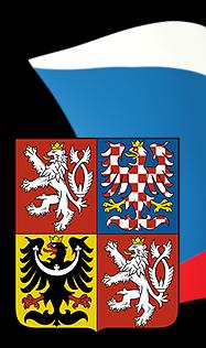 V současné době je takovou smlouvou jen Smlouva o přistoupení České republiky k Evropské unii, na základě které mohou hlasovat v České