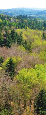 2 FSC ČR - Výroční zpráva 2017 Základní myšlenkou mezinárodní organizace Forest Stewardship Council (FSC ) je podporovat environmentálně vhodné, sociálně přínosné a ekonomicky životaschopné