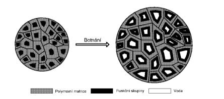 2.1.4. Botnání ionexů Botnání ionexu je schopnost látky přijímat vodu za zvětšení svého objemu.