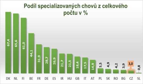 ČR má velmi málo specializovaných chovů prasat