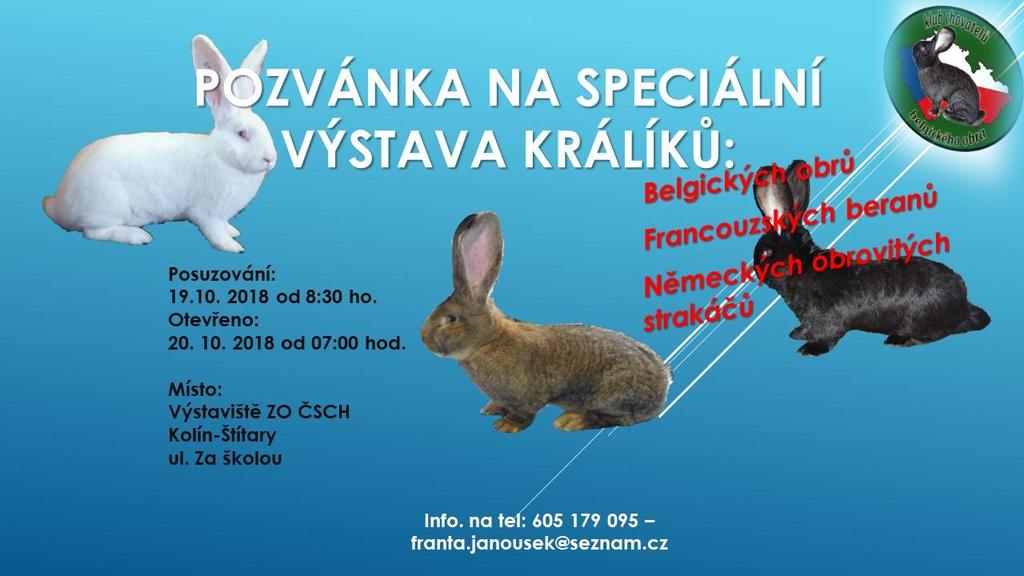 Dlouhodobě se tímto problémem zabývám, mé pokusy jdou nyní trošku jiným směrem, ale nechci to zakřiknout, vypadá to dobře. Napíšu pak o tom článek do Chovatele.
