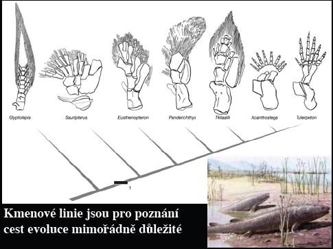Obecný problém taxonomie a