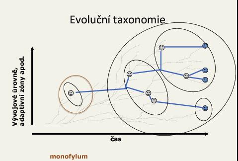 Taxonomické a klasifikační koncepce Neodarwinismus Taxony pracují s kladogenezí i anagenezí Clades a grades, jakožto předpokladem adaptivního vývoje Obvykle však nejde o