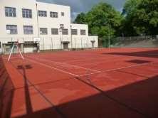 Hala nemá žádné zázemí pro diváky a rozměry hrací plochy neumožňují hrát zápasy vyšších soutěží ve florbalu a ve futsalu (ve Slaném působí několik futsalových klubů).
