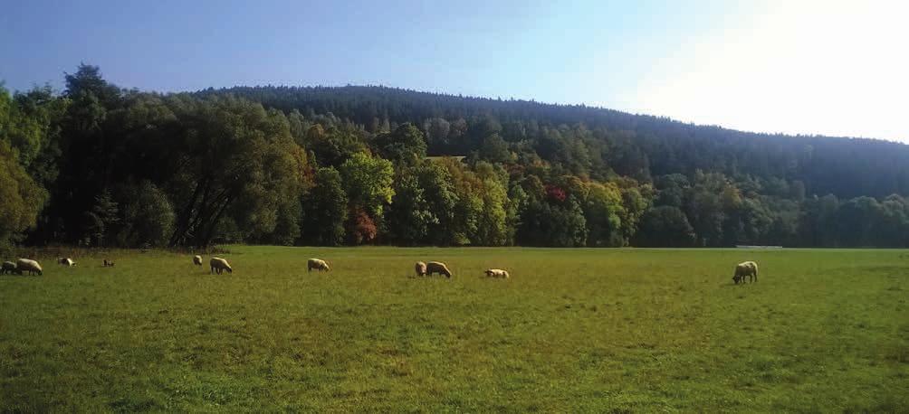 Organic Farming in the Czech Republic Yearbook 2017 14. SUPPORT FOR ORGANIC FARMING AND ORGANIC FOOD PRODUCTION 14.