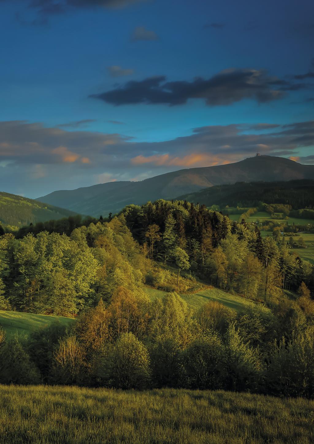 2 Seznam poskytovatelů zdravotnických služeb v Moravskoslezském kraji Druh screeningu Poskytovatel zdravotních služeb, sídlo Screening kolorektálního karcinomu Region Kontakt Str.