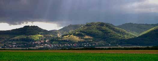 Dominantą gminy jest górska twierdza Srebrna Góra jedna z największych twierdz tego typu w Europie. Twierdza Srebrnogórska składa się z kilku fortów (Donżon, Ostróg, Wysoka Skała, Rogowy) i bastionów.