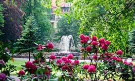 When the weather is not on your side, go to