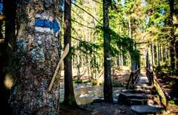Pilgerstätte in Neratov 36 40 41 37 38 42 40/41 Neratov