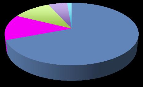 Graf 5.2 Orientace ve složité životní situaci (N = 551) 10,9% 13,2% 5,4% 1,3% Rozhodně ano Rozhodně ne 69,2% Spíše ano Spíše ne Ani ano, ani ne 5.