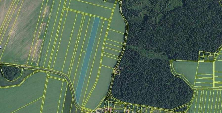 7) Zemědělský pozemek o velikosti 11 784 m² Lokalita: Brodek u Konice Nabídková cena: 198 000,- Kč Upravená nabídková cena: 17,- Kč/m 2 Popis: Jedná se o zemědělsky