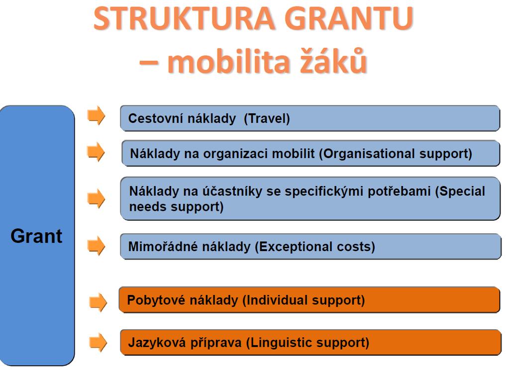 Struktura