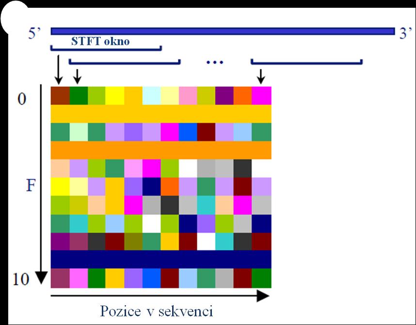 Obr.11 Spektrogram DNA sekvence [1] 4.3.