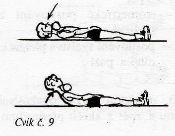 rukou v upažení - uvolnit hlavní účinek - posilování vzpřimovačů páteře - posilování mezilopatkových svalů - mobilizace