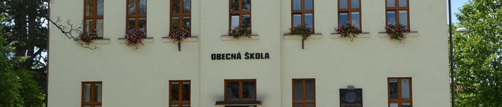 organizace VÝROČNÍ ZPRÁVA