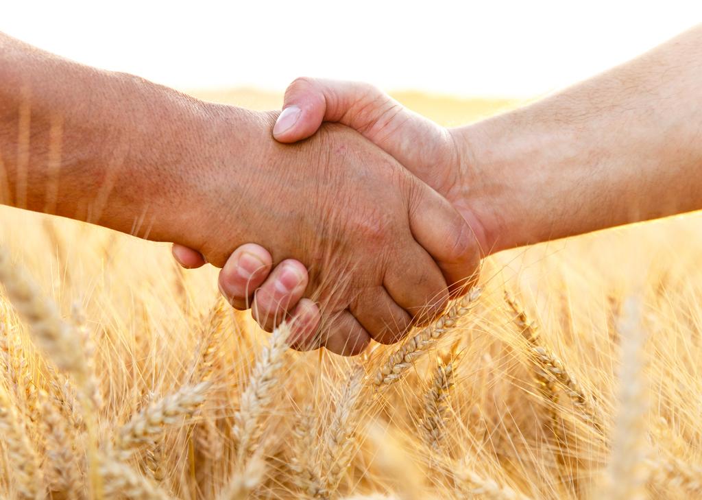 Projekt CO-FARM Úvod Hlavním cílem této souhrnné zprávy je analýza současné úrovně spolupráce mezi podnikateli v zemědělství v partnerských zemích projektu COFARM a Evropské unii.