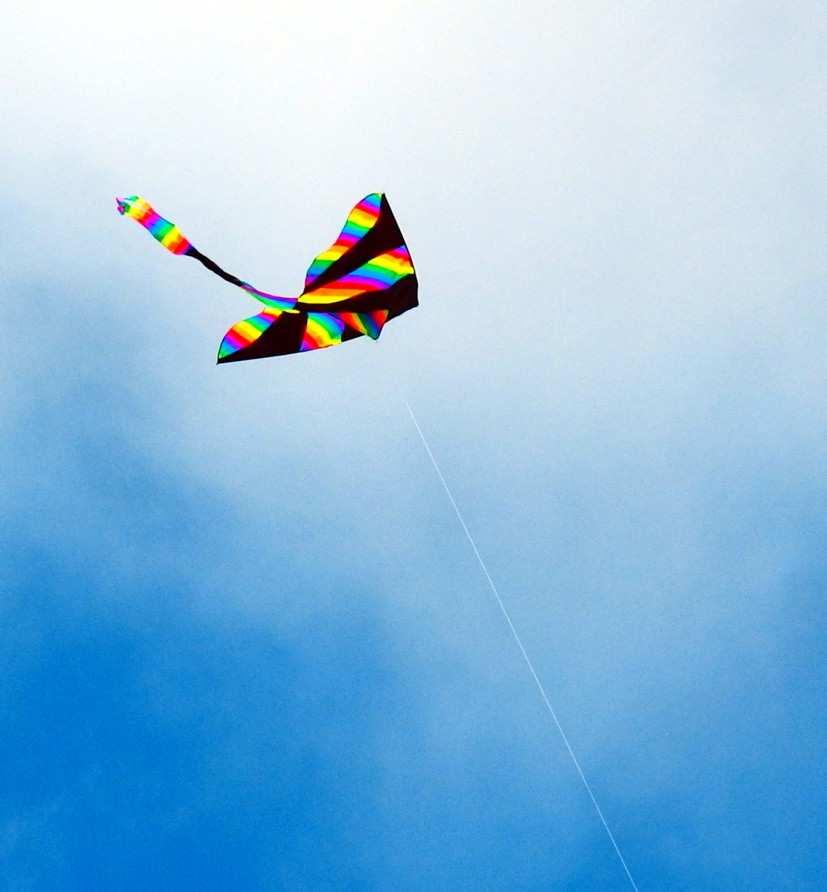 Draků se sešla taková spousta, že piloti museli obsadit i vedlejší louku aby nerozmotávali své draky ještě teď.