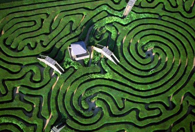 Longleat Maze Wiltshire, Anglie