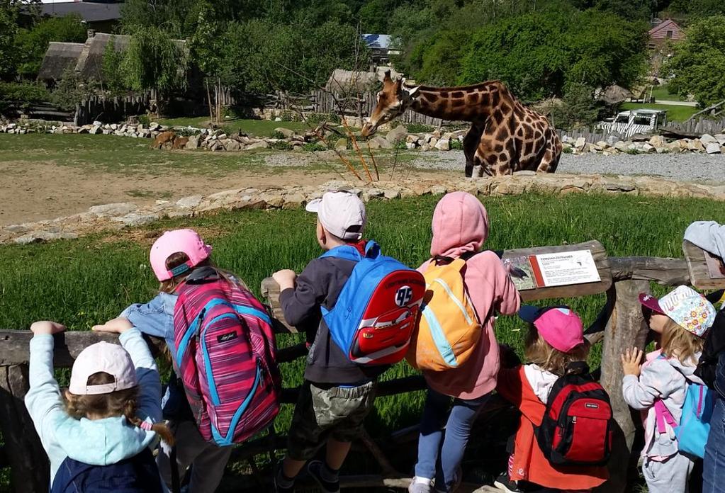 ZOO