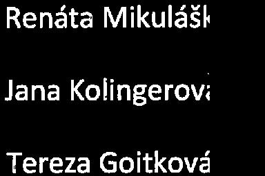 Příloha č.