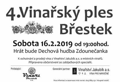 hokejový ples - k tanci a poslechu hraje DH Boršičanka, bohatá tombola sál Obecního domu, so 9. 2., 20.