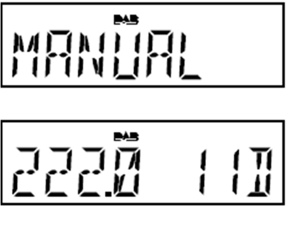 Pokud je rádio zapnuto a je v režimu DAB, stiskněte a 2 sekundy podržte tlačítko automatického ladění, dokud se na displeji neukáže SCANNING. 4.