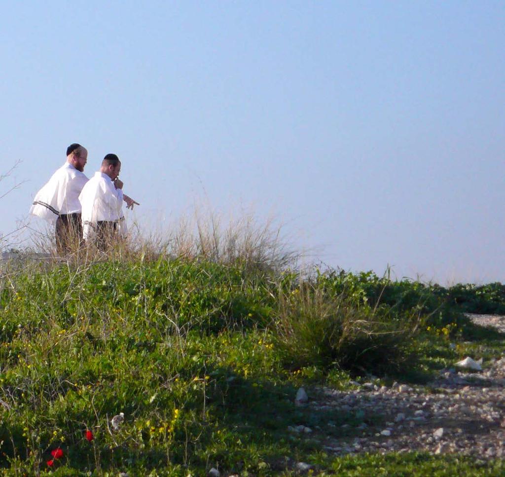 maskil ročník 18 nisan 5779 duben květen 2019 8 המשכיל www.maskil.cz Pesach 5779 Chag aviv sameach! Foto Tereza Janišová 2.