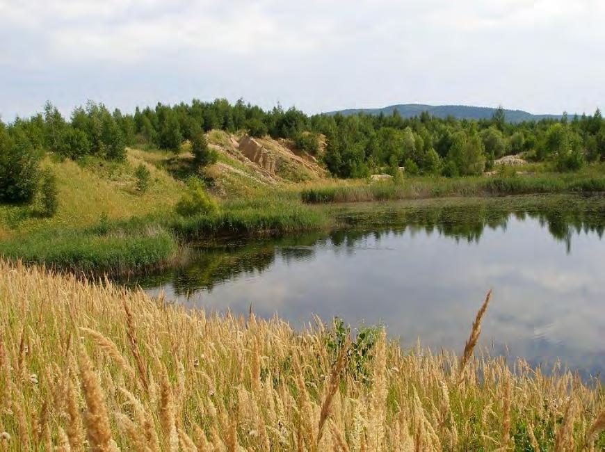 11: nádrž v nerekultivovaném terénu; při hladině se rozrůstají rákosiny (Phragmites australis), ve vodě Potamogeton natans spolu s P.