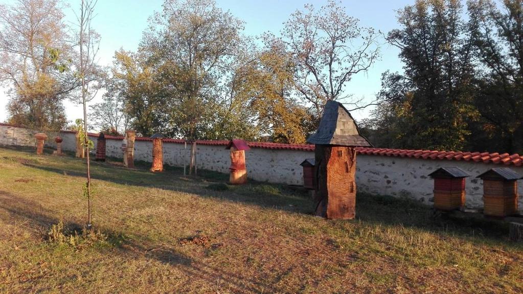 Hlavním námětem byl řád františkánů observantů na přelomu středověku a novověku, srovnání provincií v Českém království a sousedním Sasku, vliv reformace na františkány a studie příbuzných řádů