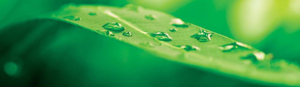 OTNÍ PEFC/26-31-55 Promoting sunstainable forest management. www.pcfc.