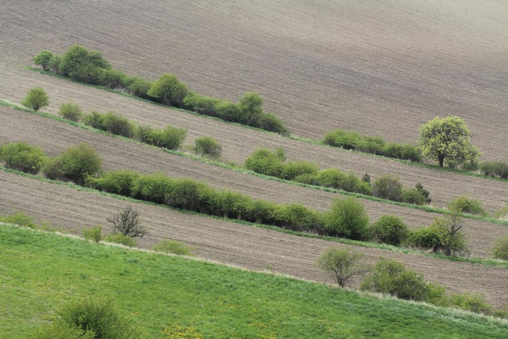 VÝSLEDKY