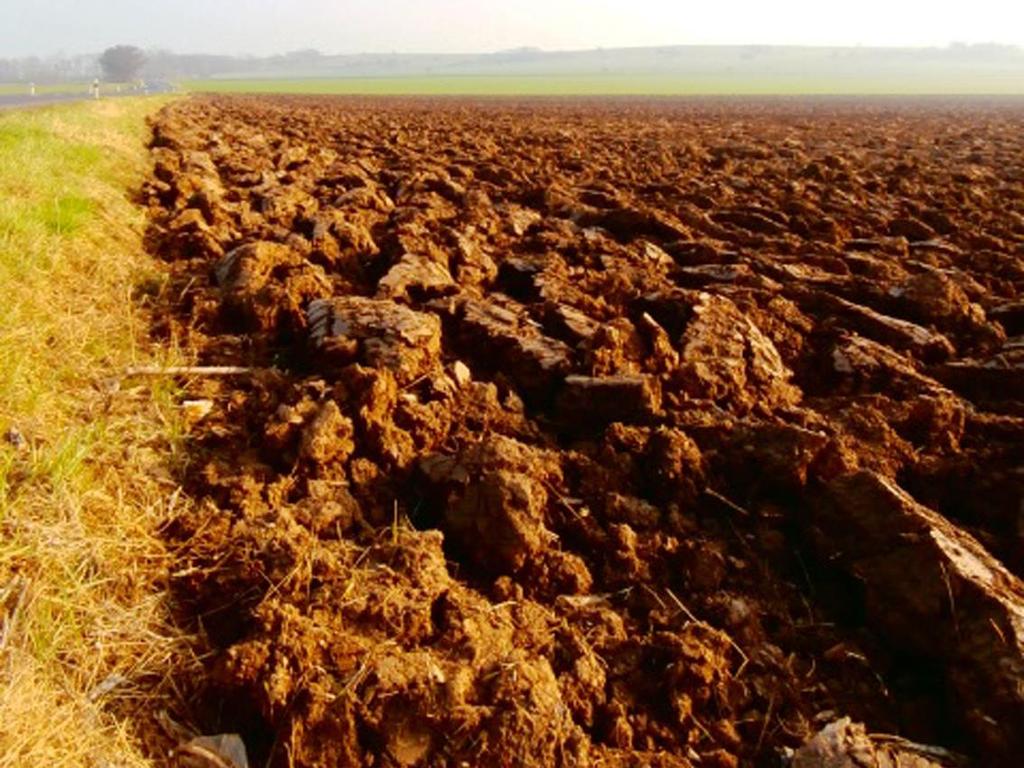 Osevní postupy a zpracování posklizňových zbytků Osevní postupy (OP) byly nejlépe dodržovány u velkých podniků, které dosáhly v průměru 28 bodů (z maxima 40 bodů).