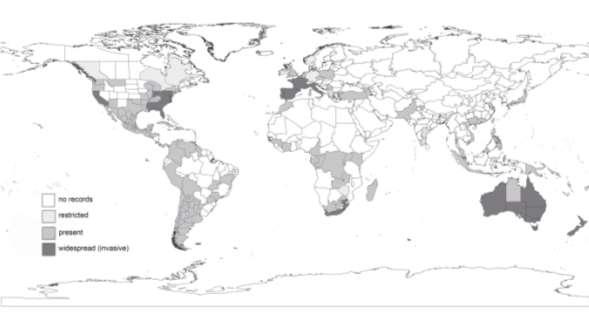 Expertní modelování predikční model a mapa pro druh Phytophthora cinnamomi Podklady literární rešerše ekologických a epidemiologických dat pro daný patogen (rozšíření patogenu, způsob šíření a