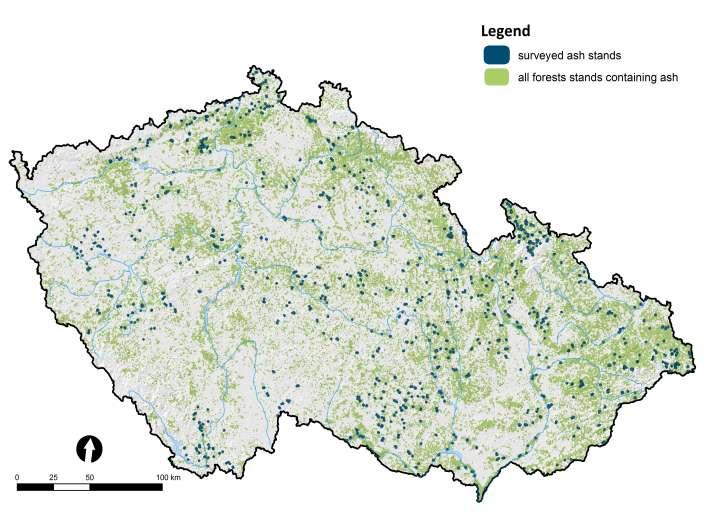 Statistické modelování predikční