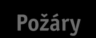 Goliště lesní blesk 16.