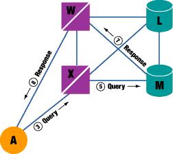 Database Query Example People generally are familiar with the toll-free aspect of 800 (or 888) numbers, but these numbers have significant additional capabilities made possible by the SS7 network.