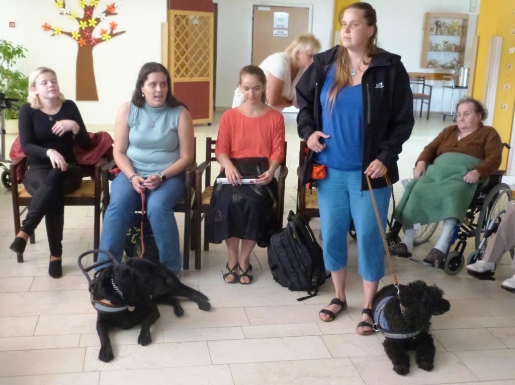 Individuálně s uživateli jezdíme do ZOO Hluboká, nebo chodíme na zmrzlinové poháry do vedlejší restaurace Bergámo.