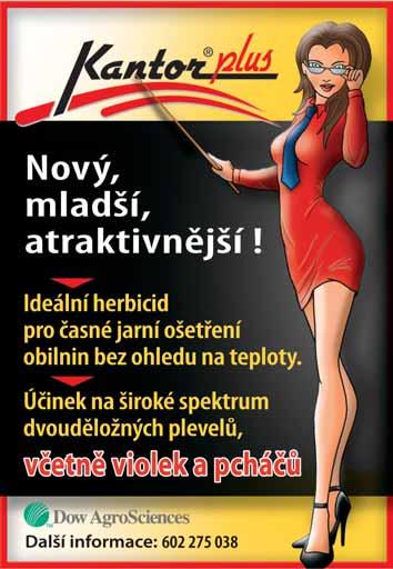 (2009) zjistili, že kombinace infikovaného osiva společně s infekcí listů sporami významně zvyšuje intenzitu následného projevu choroby, ve srovnání infekce pouze z jednoho zdroje.