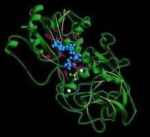 Izotopové klastry víceatomových částic trichlorcyklohexan C 6 H 9 Cl 3 alkoholdehydrogenáza C 1764 H 2859 N 469 O 516 S 26 Izotopická izomerie a homologie Izotopology: - izotopické homology ionty,