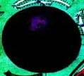 3. ORGANELY